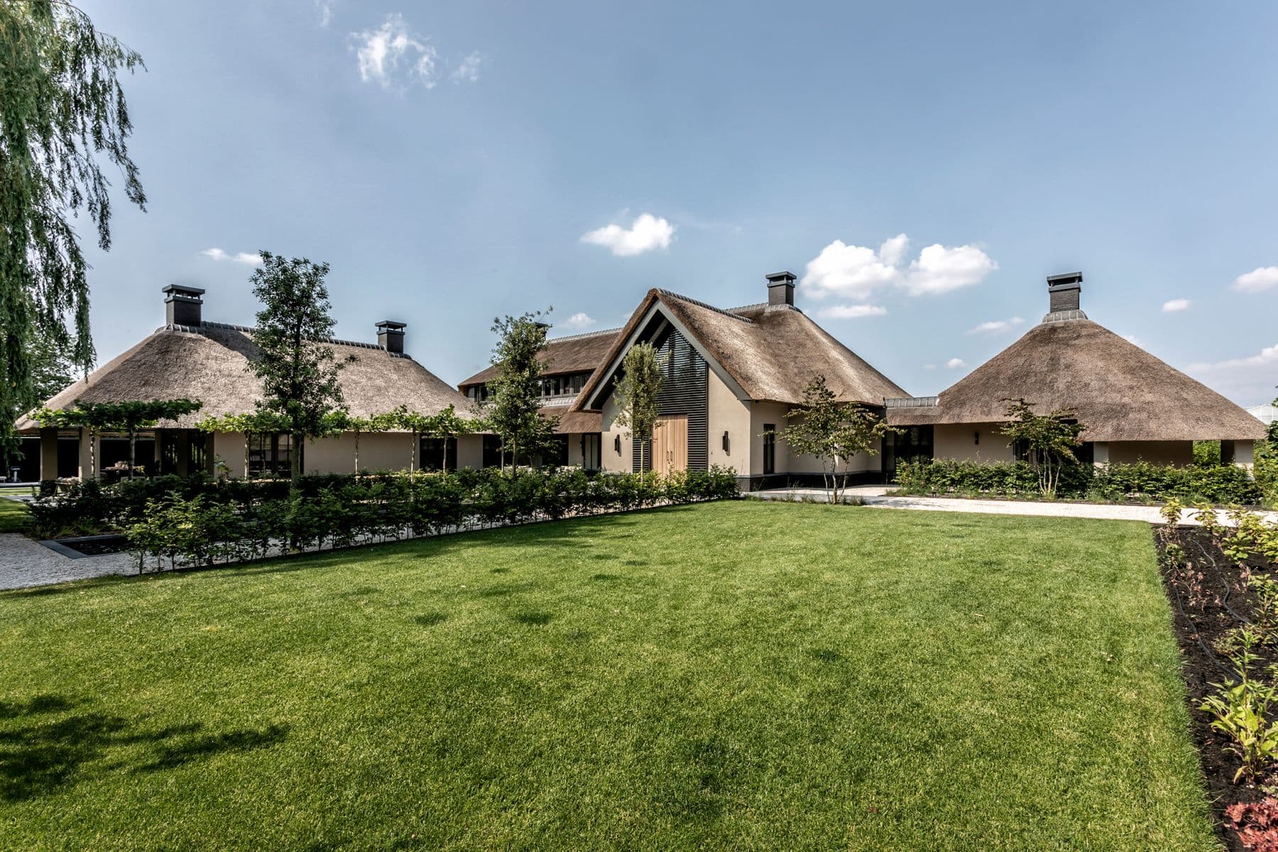Rietgedekte villa's met gazon en moderne architectuur