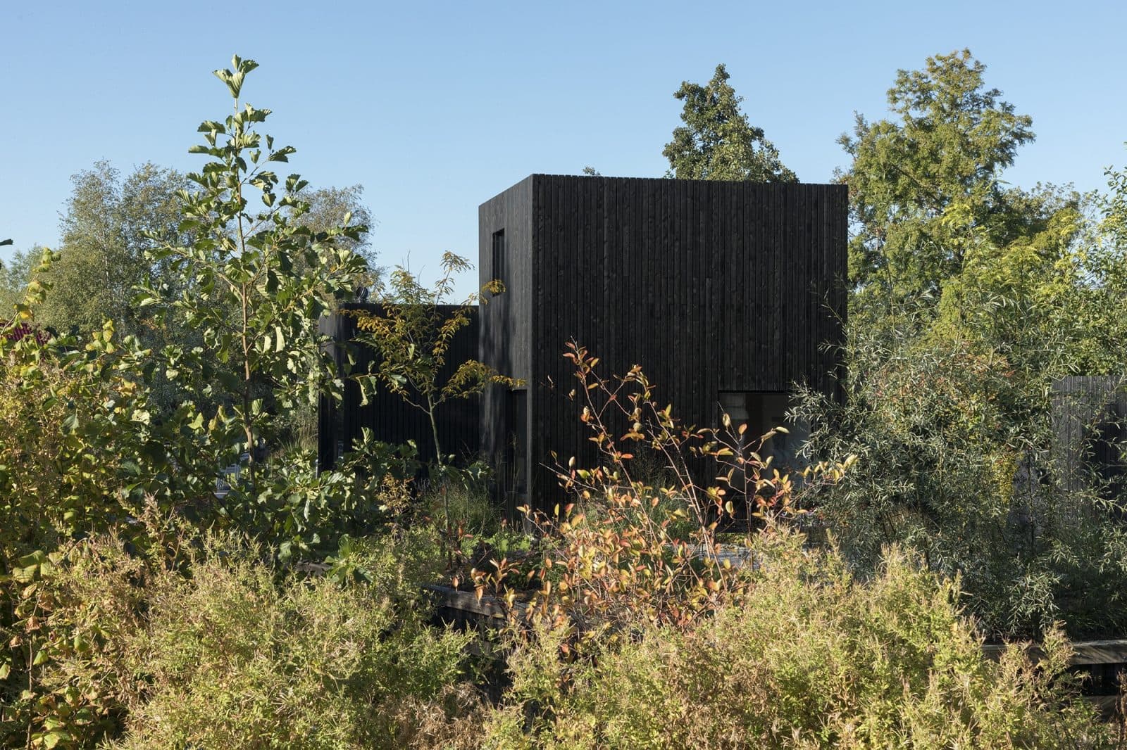 Zwart houten kubusvormig gebouw omgeven door wilde begroeiing
