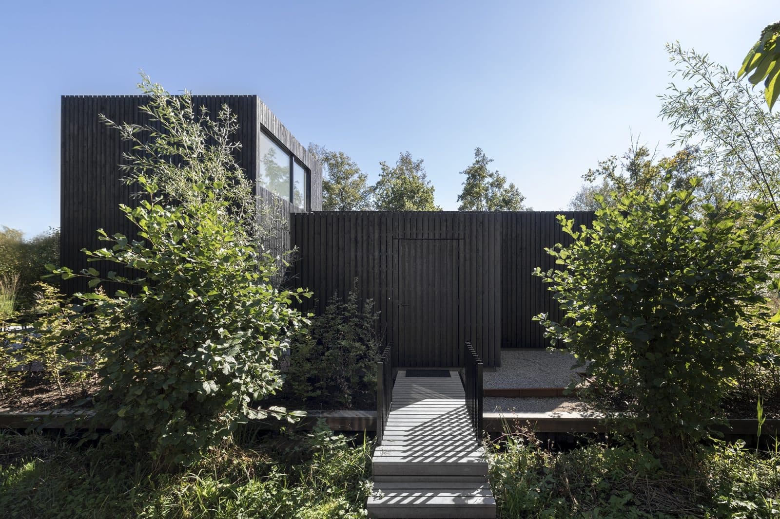 Zwart houten woonhuis met grote ramen omgeven door groene vegetatie