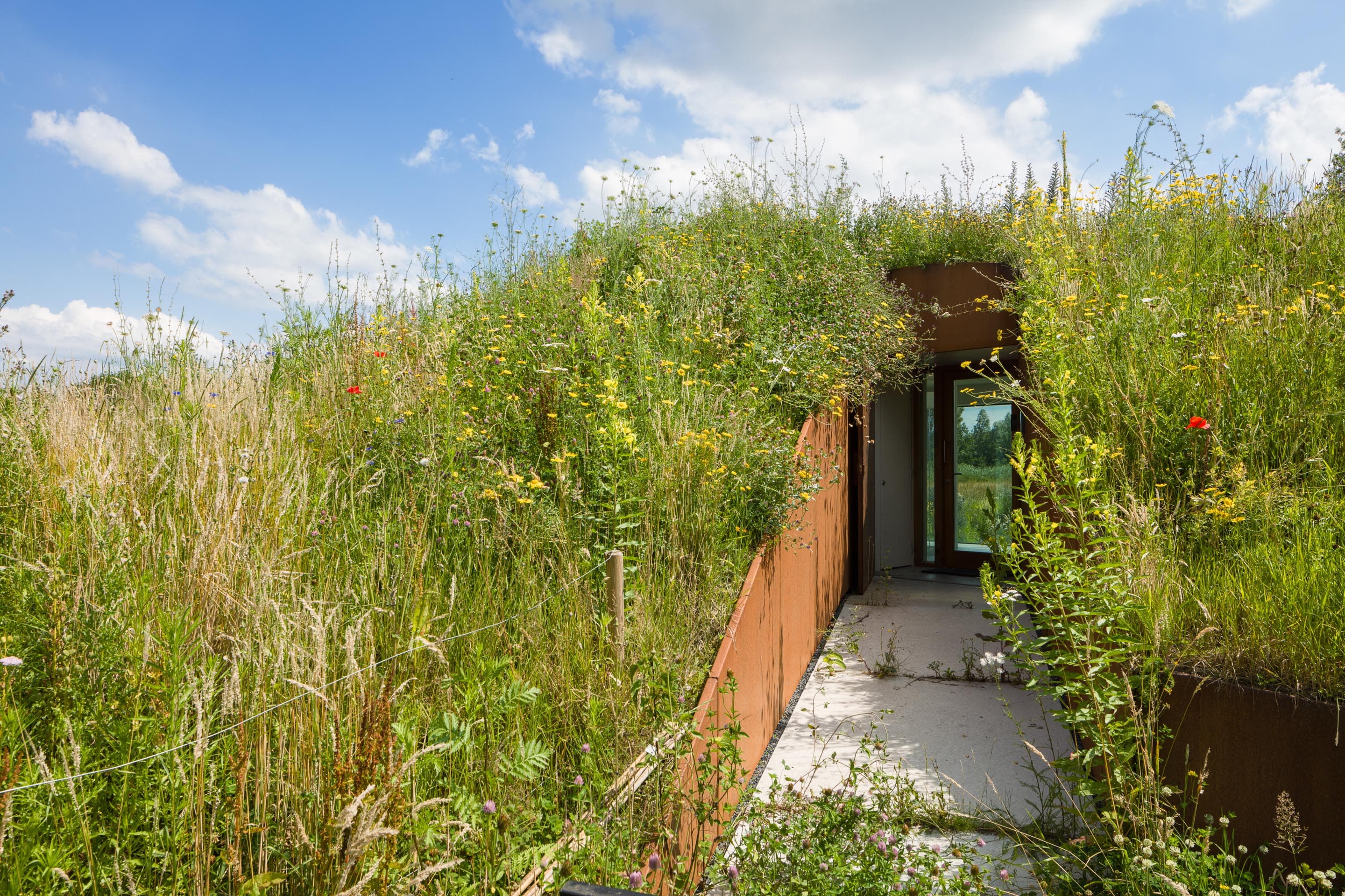 Ingangsgang met roestbruin metalen wanden omgeven door wilde planten
