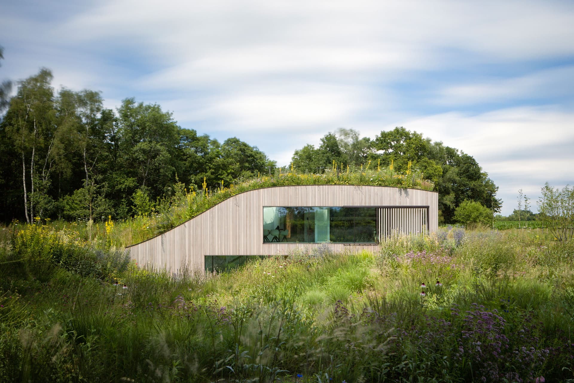 The House Under the Ground
