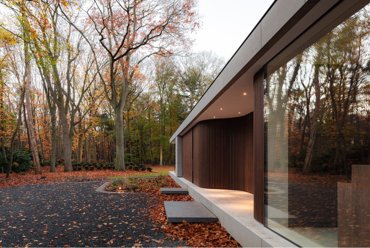 Moderne villa met houtbekleding en glazen wanden, herfstbladeren op grond