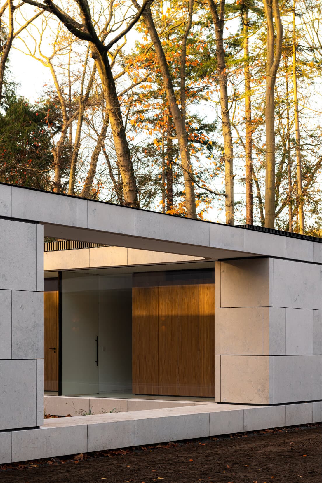 Gevel moderne villa met betonnen panelen en houten deuringang