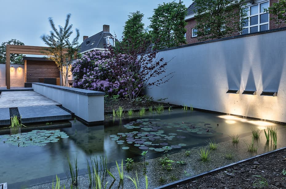 Tuinvijver met paarse bloemen, betonnen wandelingen en verlichting