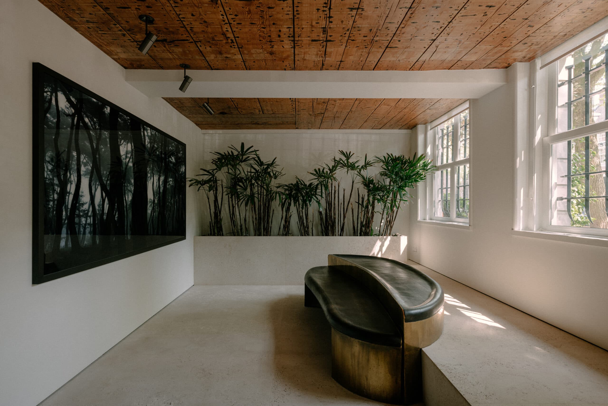 Ruimte met houten plafond, groene planten en geborsteld brons meubel