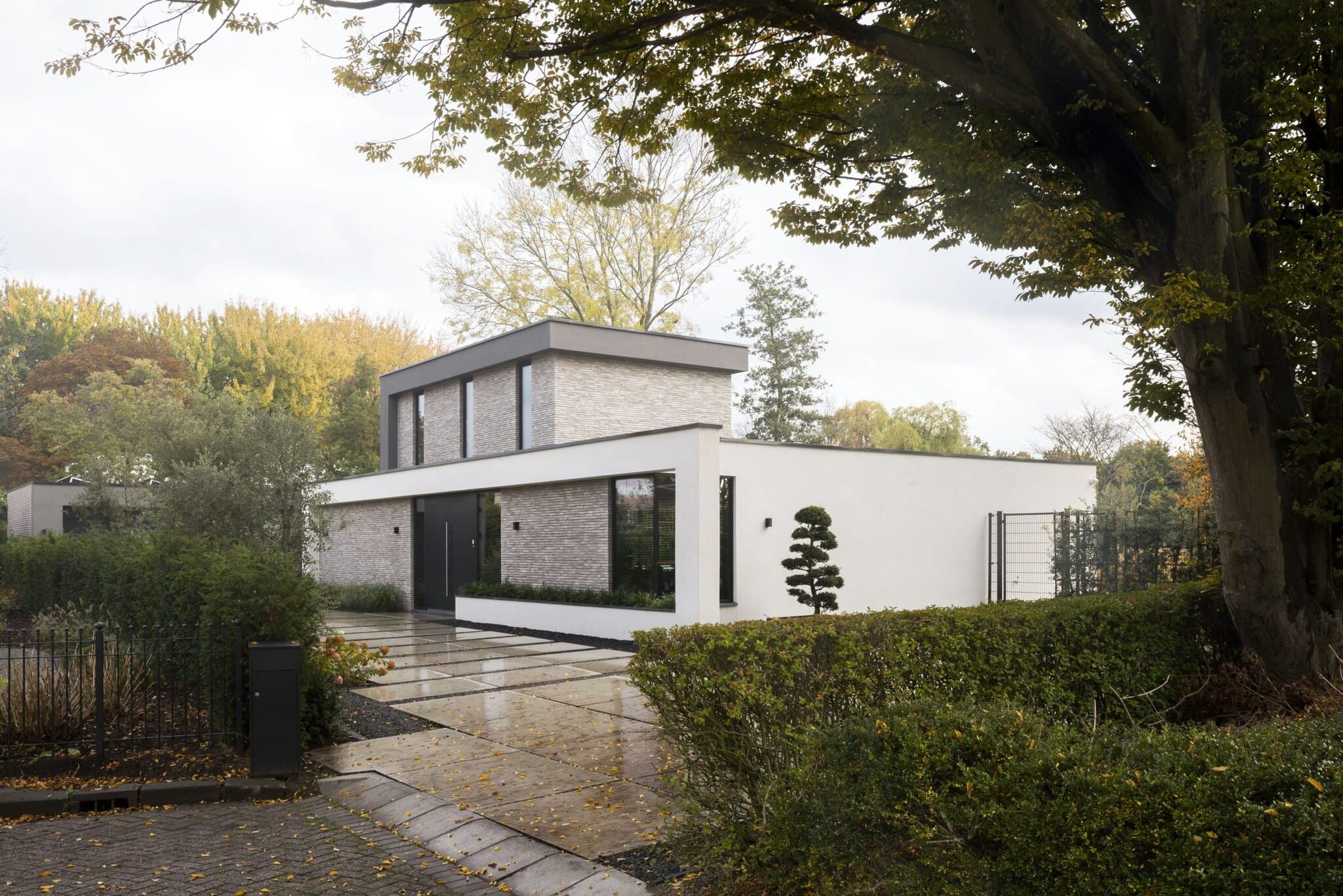 Moderne woning met wit stucwerk, donkere siergrassen en tuinhek