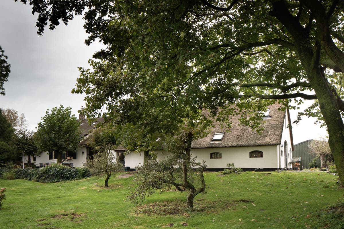 Witte boerderij met rieten dak onder uitbundig bladerdak
